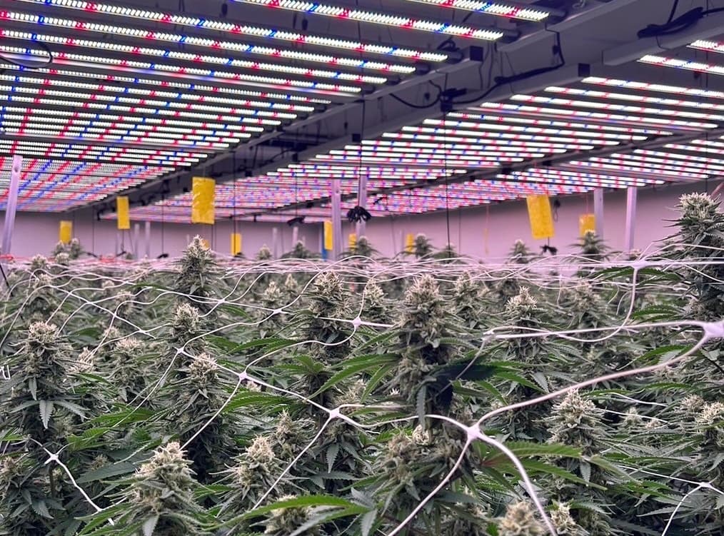 /cultivation_system.jpg